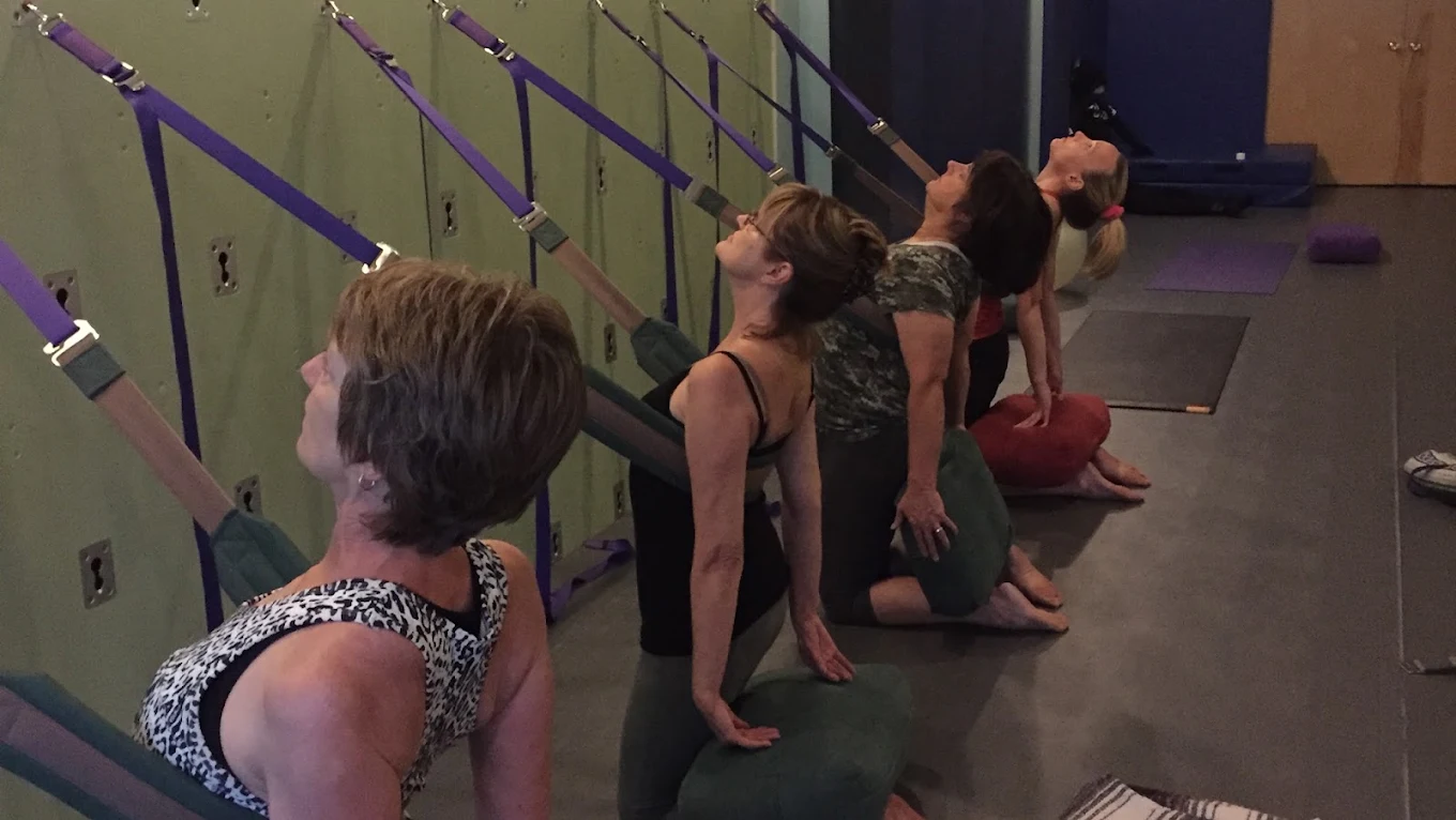 A row of students in a strap-supported kneeling backbend on the Yoga Wall during Stretch & Strengthen at Palm Yoga in Tampa